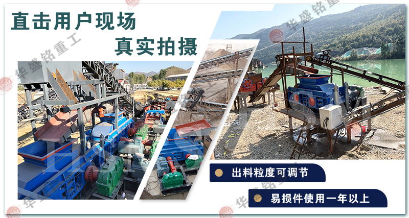 生(sheng)蠔殼狼(lang)牙(ya)齒輥式(shi)粉碎(sui)機(ji)廠傢